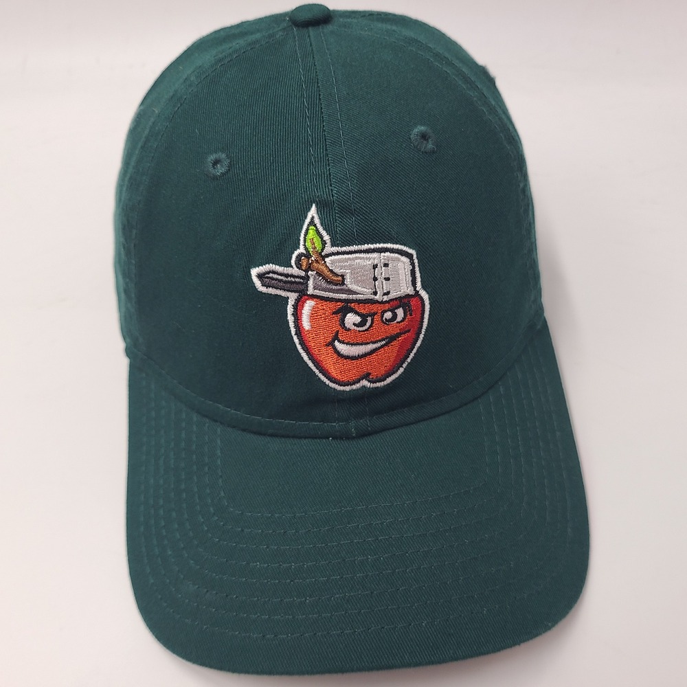 Fort Wayne TinCaps Hat Strapback New Era‎ 9Twenty Green MiLB Baseball Logo Men